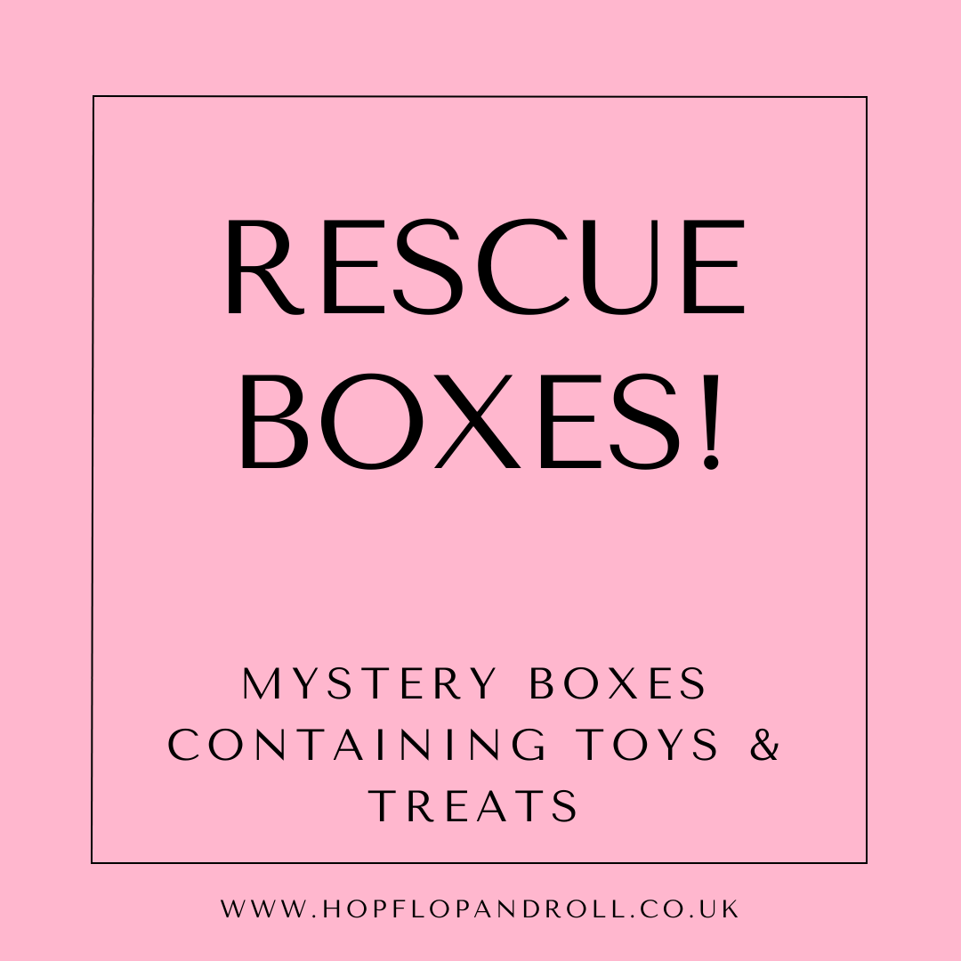 Mystery box for Fluffy Butt's Rescue