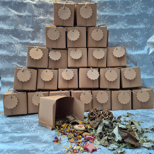 Advent Calenders- PRE ORDER ONLY