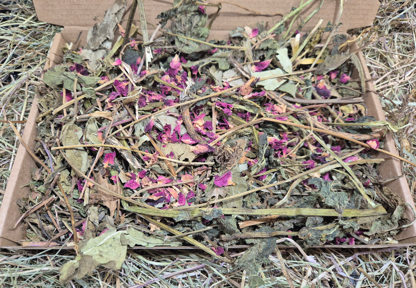 Garden Salad