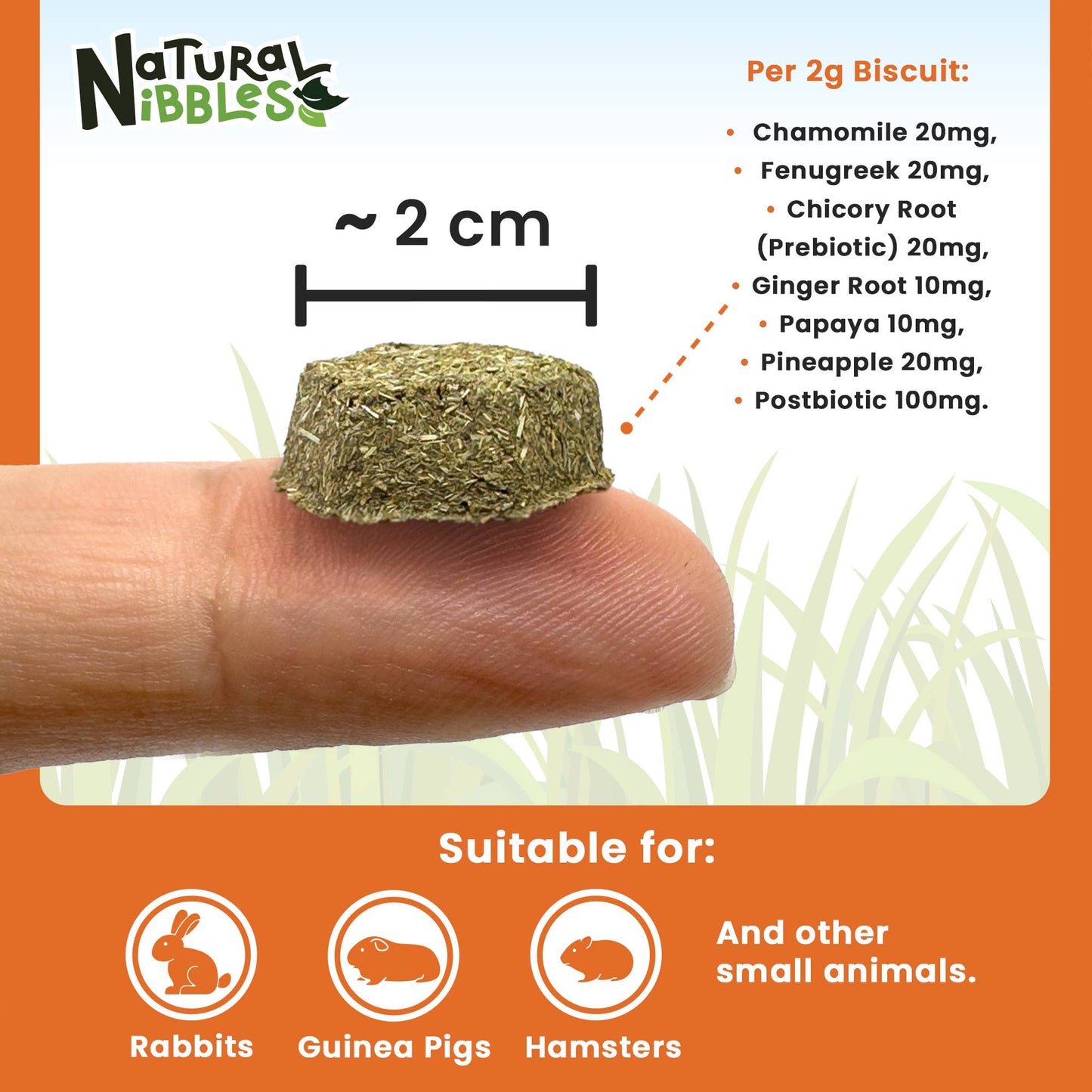 Natural Nibbles ProCare+ Digestion | Natural Rabbit Treats