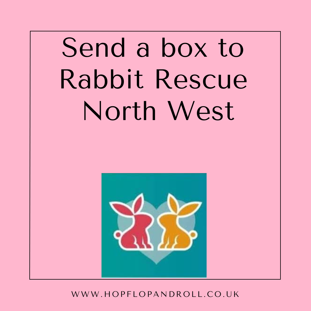 Mystery box for Rabbit Rescue North West