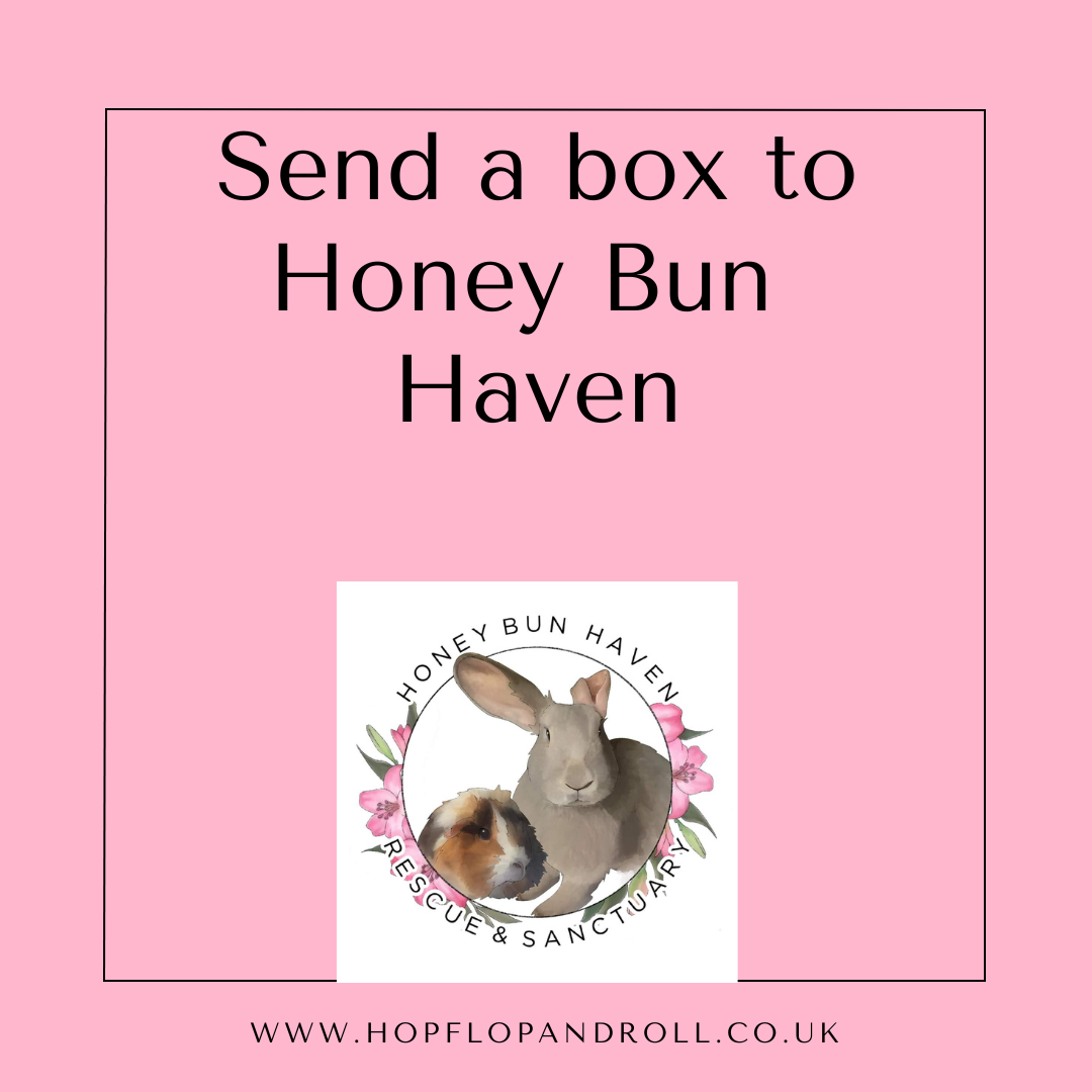 Mystery box for Honey Bun Haven- Rescue & sanctuary