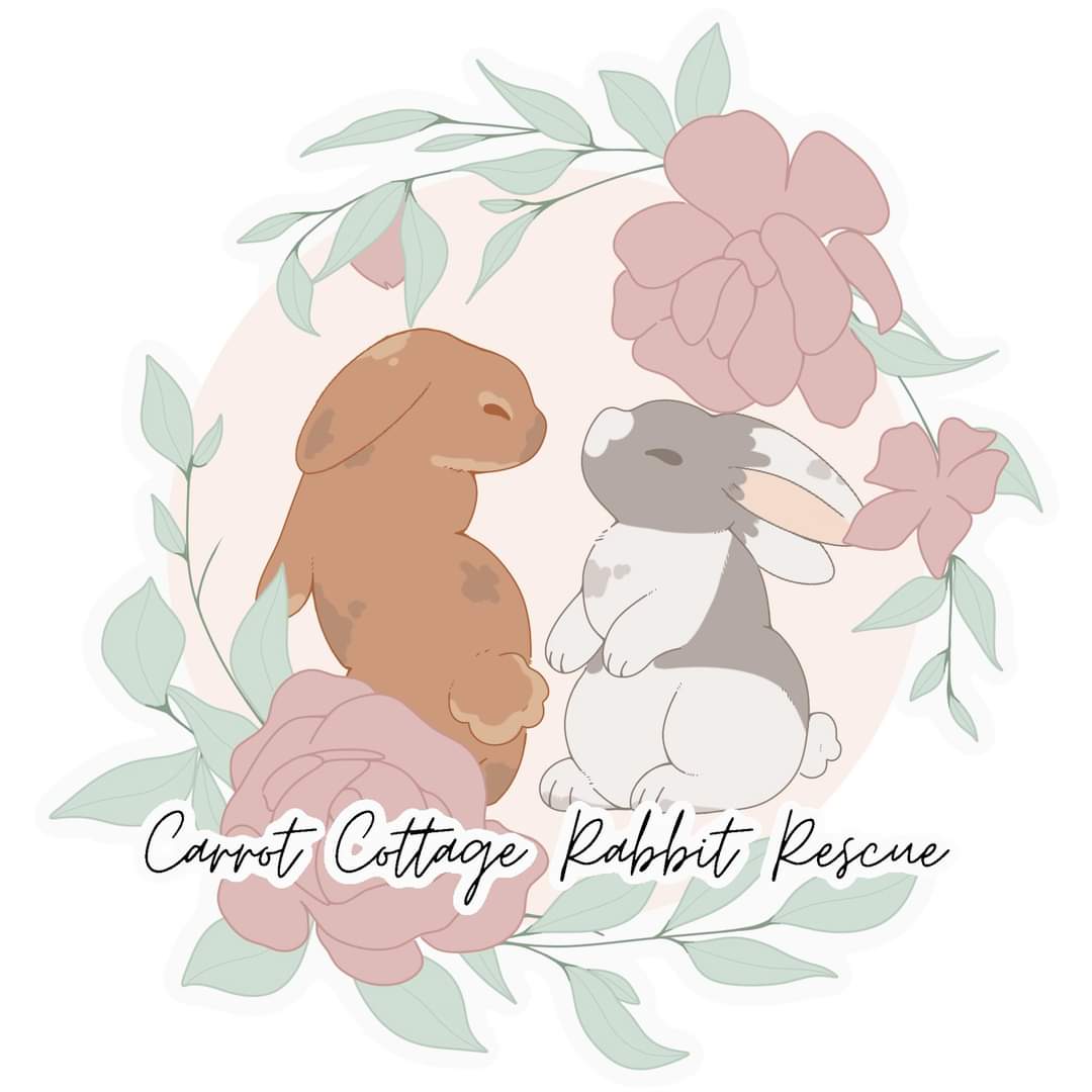 Mystery box for Carrot Cottage Rabbit Rescue