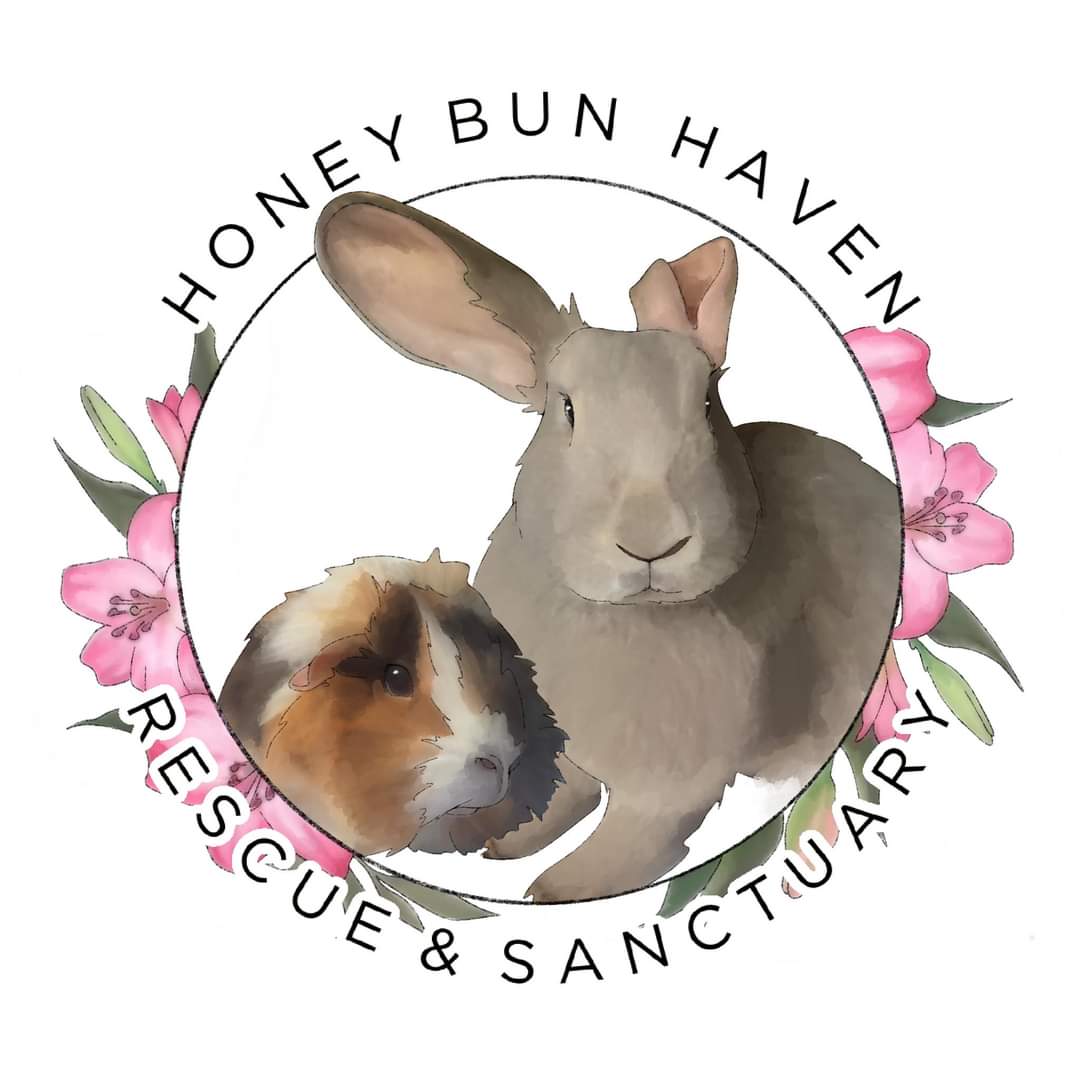 Christmas box for Honey Bun Haven- Rescue & sanctuary