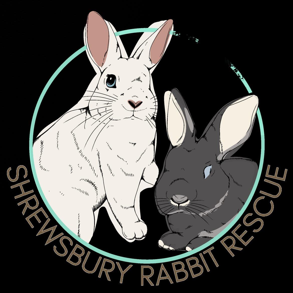 Mystery box for Shrewsbury Rabbit Rescue