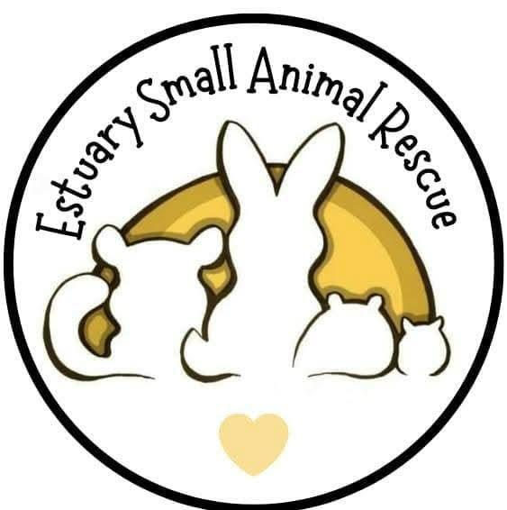 Mystery box for Estuary Small
Animal Rescue