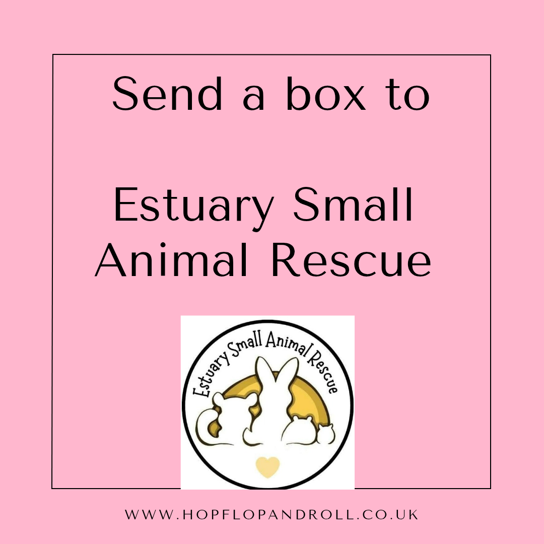 Christmas box for Estuary Small
Animal Rescue