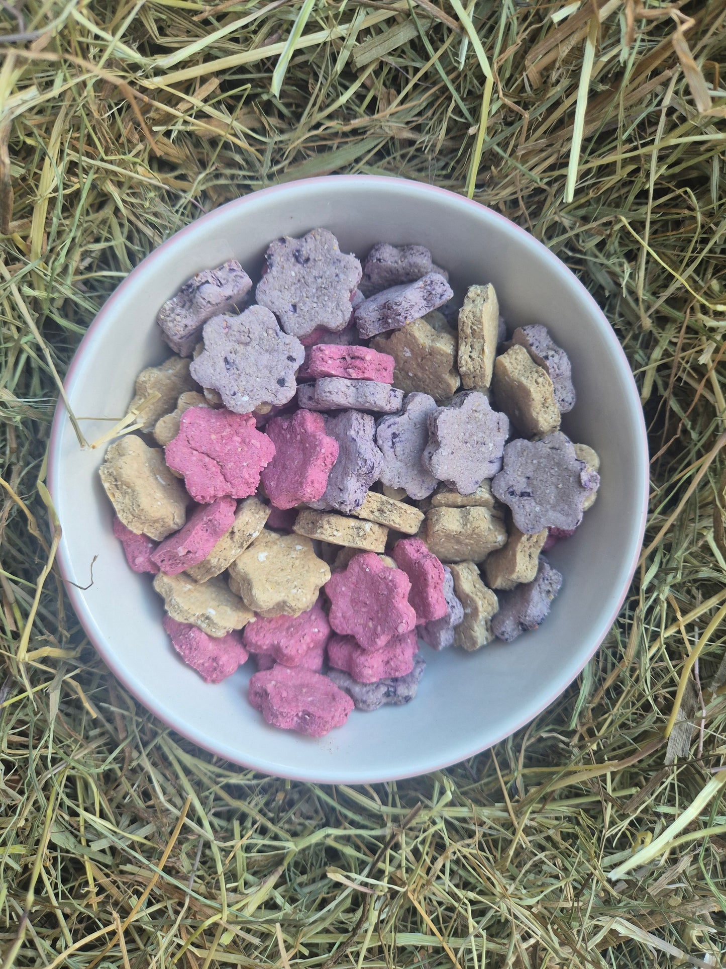 Sweet Nibbles