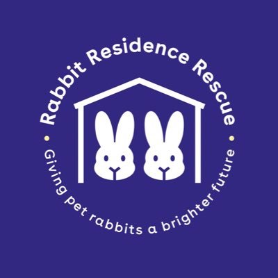 Mystery box for The Rabbit Residence Rescue