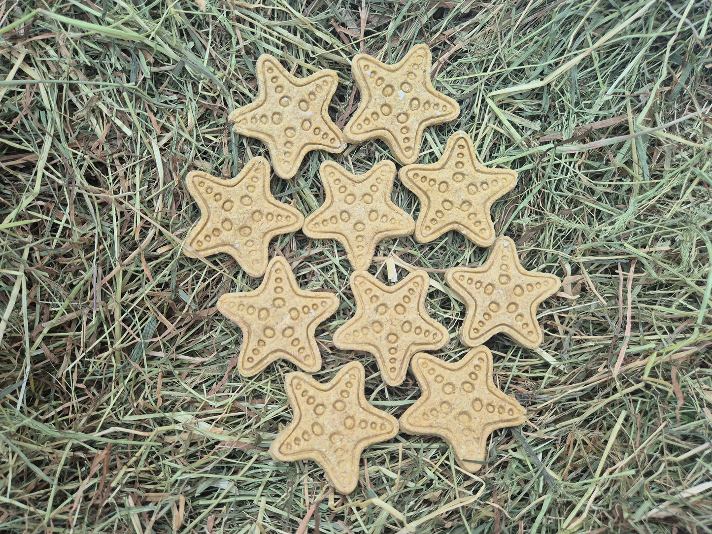 Starfish