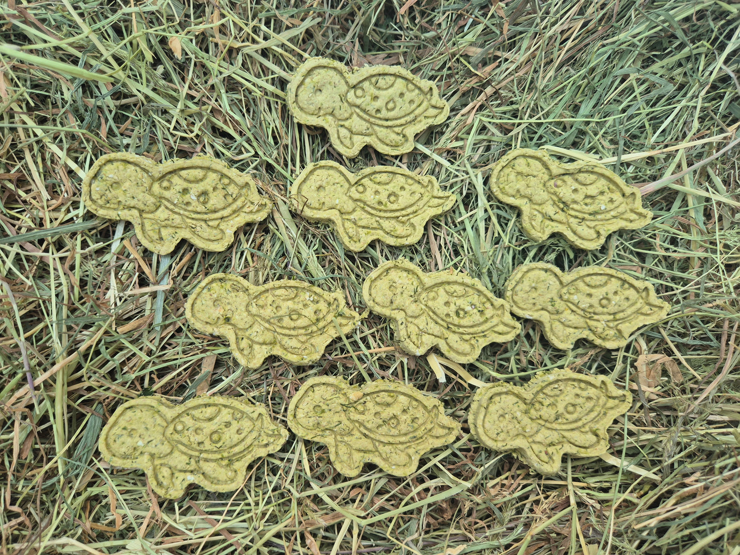 Turtles