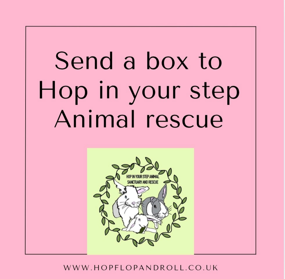 Mystery box for Hop in your step animal rescue