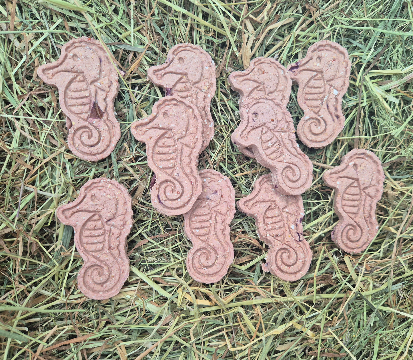 Starfish