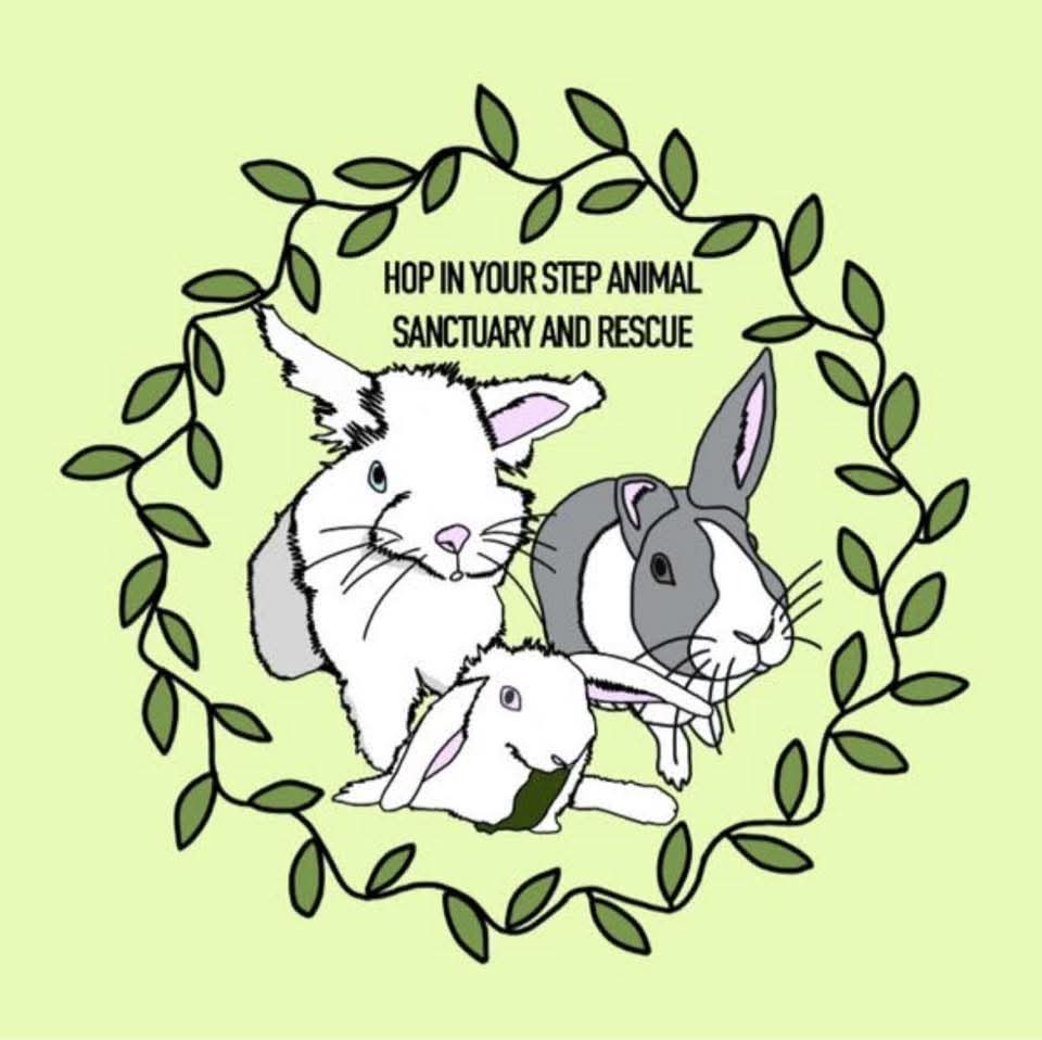 Hop in your step animal rescue