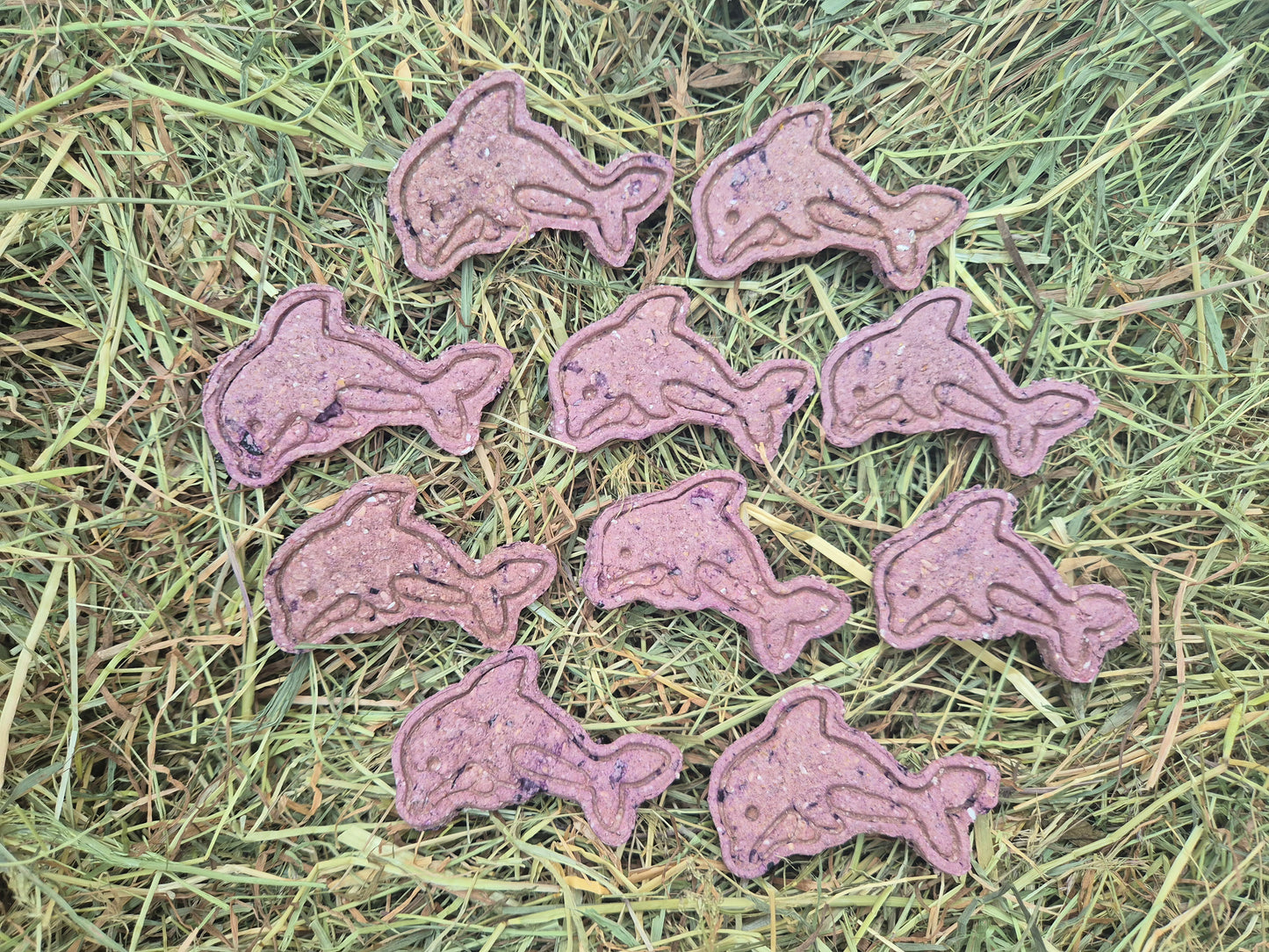 Dolphins