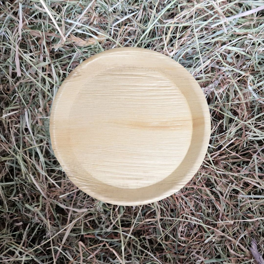 10 " palm leaf plate