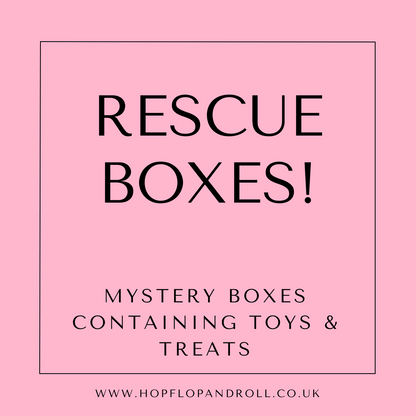 Mystery box for The Rabbit Residence Rescue