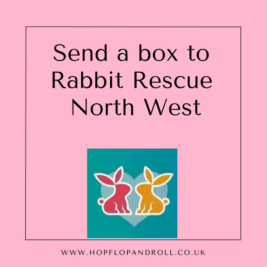 Mystery box for Rabbit Rescue North West