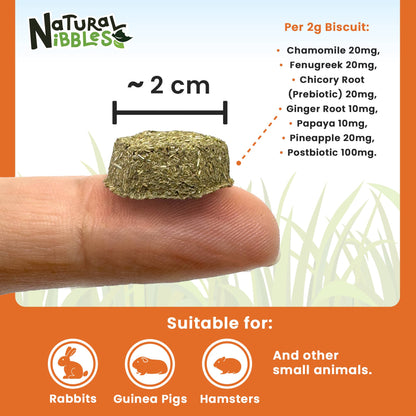 Natural Nibbles ProCare+ Digestion | Natural Rabbit Treats