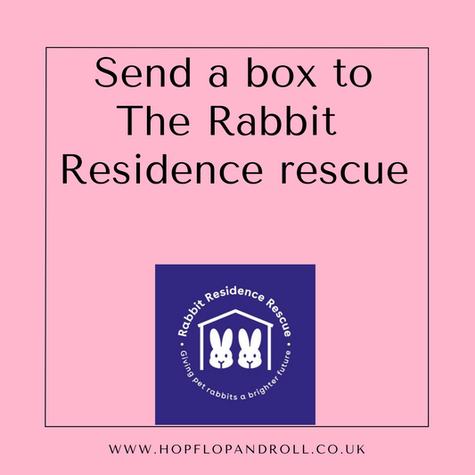Mystery box for The Rabbit Residence Rescue