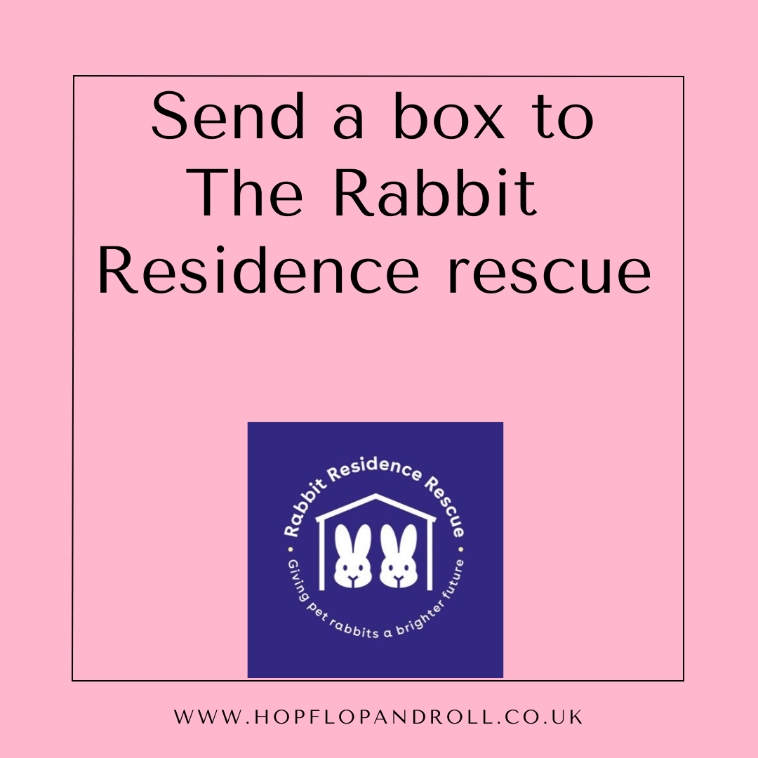 Mystery box for The Rabbit Residence Rescue