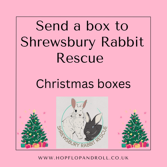 Christmas box for Shrewsbury Rabbit Rescue
