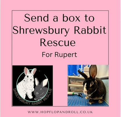 Mystery box for Shrewsbury Rabbit Rescue