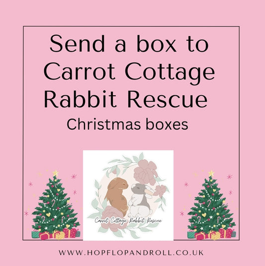 Christmas box for Carrot Cottage Rabbit Rescue