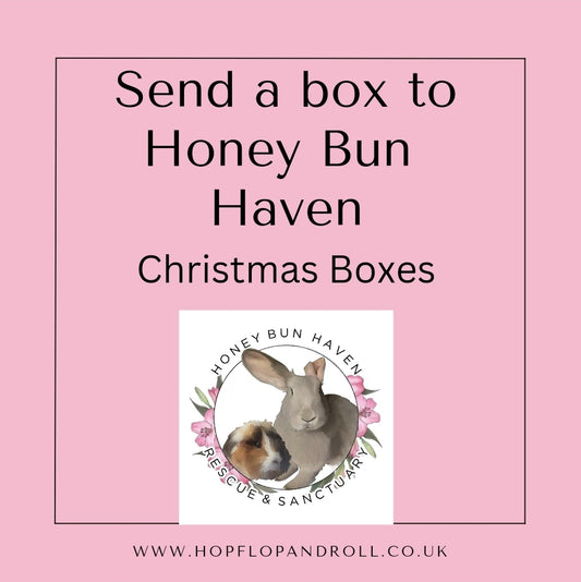 Christmas box for Honey Bun Haven- Rescue & sanctuary