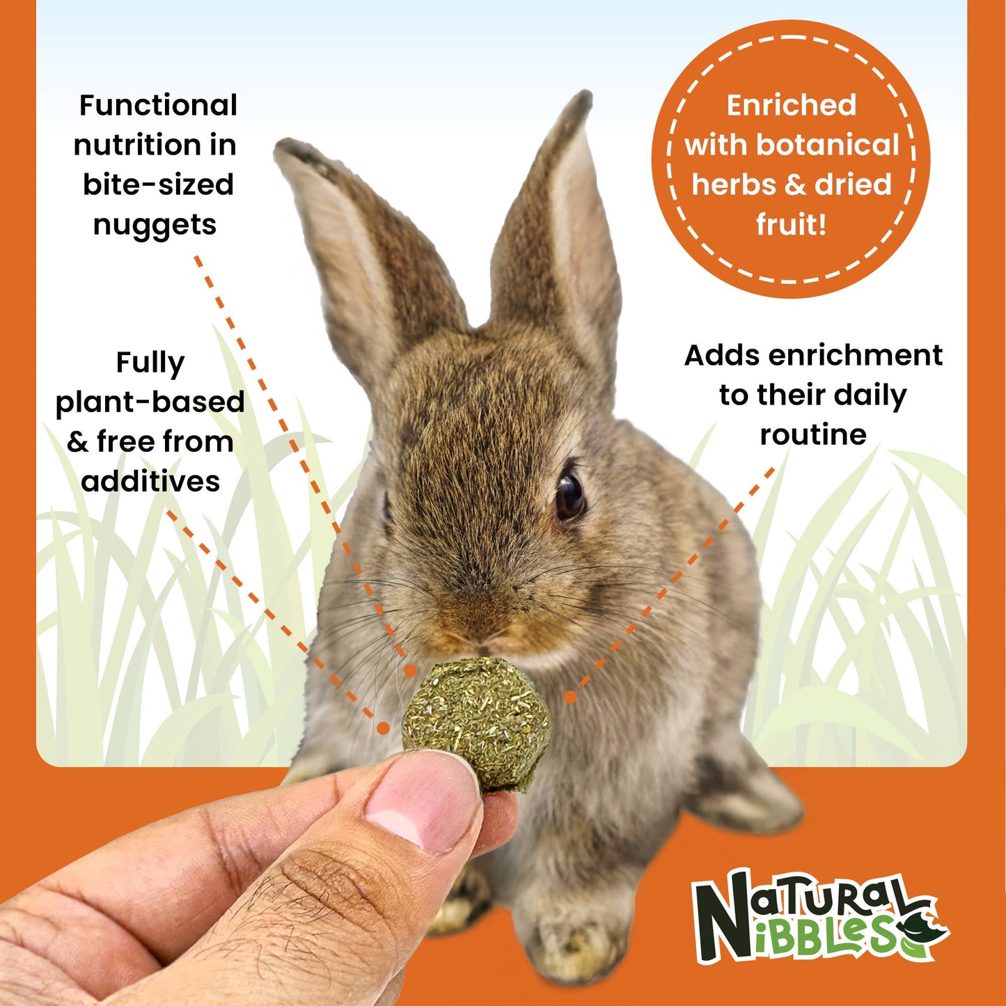 Natural Nibbles ProCare+ Digestion | Natural Rabbit Treats