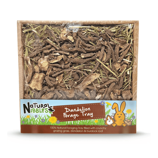 Natural Nibbles Dandelion Forage Tray 70g