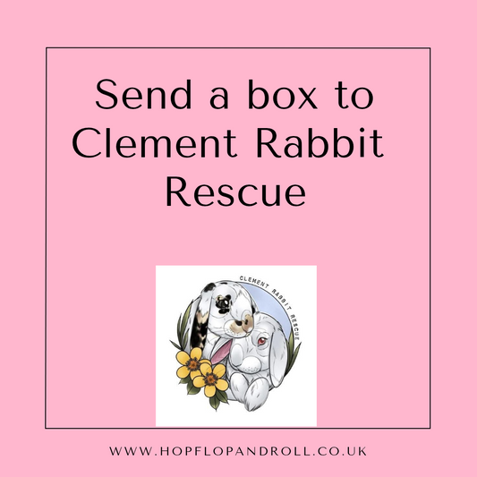 Mystery box for Clement Rabbit Rescue
