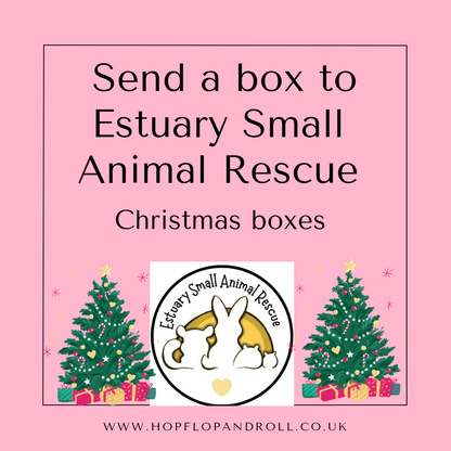 Christmas box for Estuary Small 
Animal Rescue