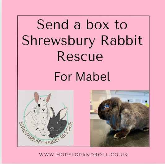 Mystery box for Shrewsbury Rabbit Rescue