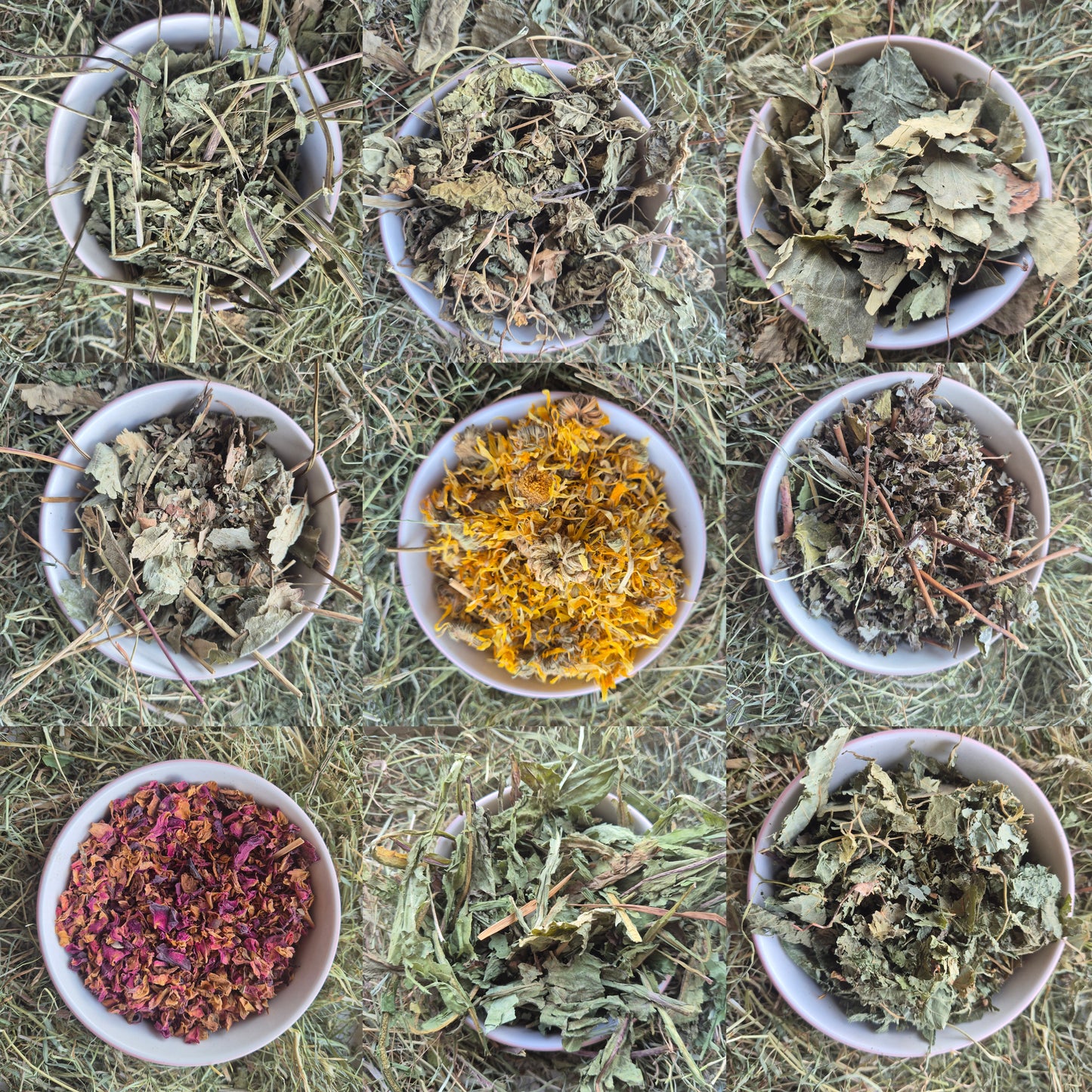 Forage Selection box
