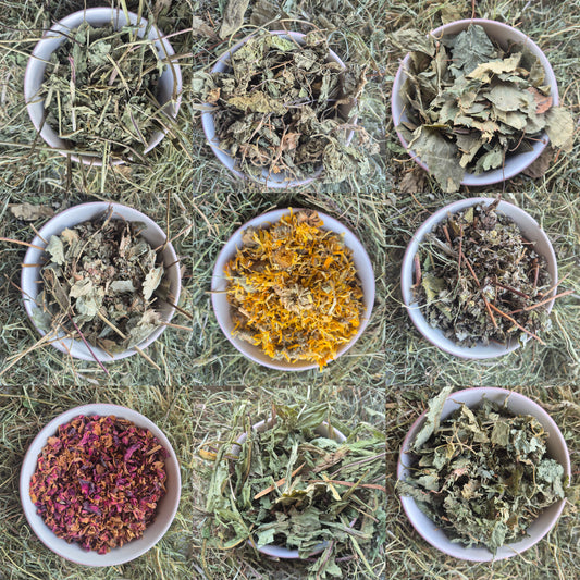 Forage Selection box