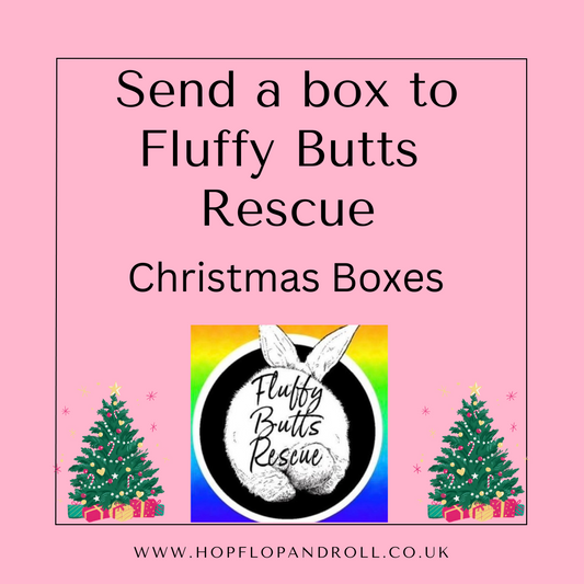 Christmas box for Fluffy Butt's Rescue