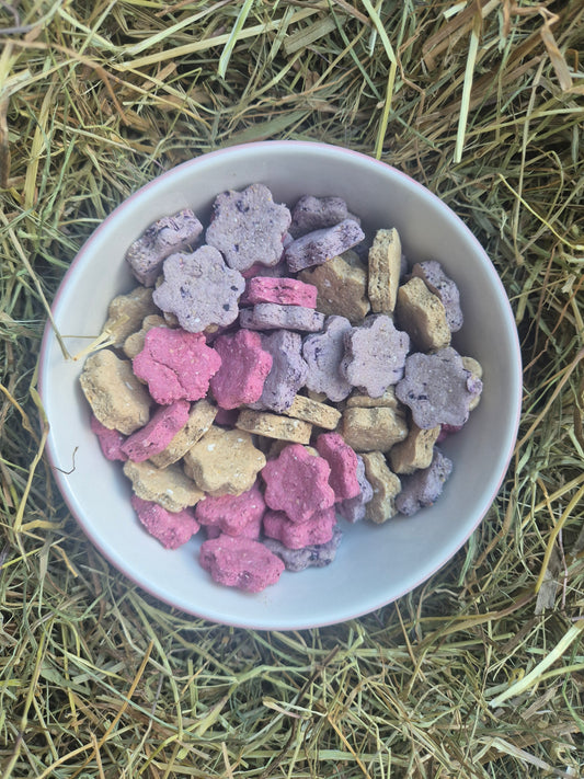 Sweet Nibbles