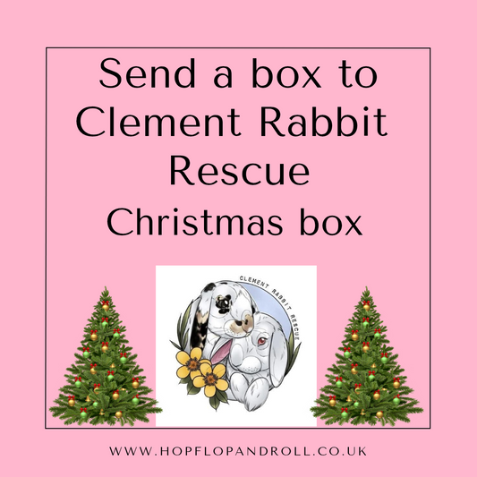 Christmas box for Clement Rabbit Rescue