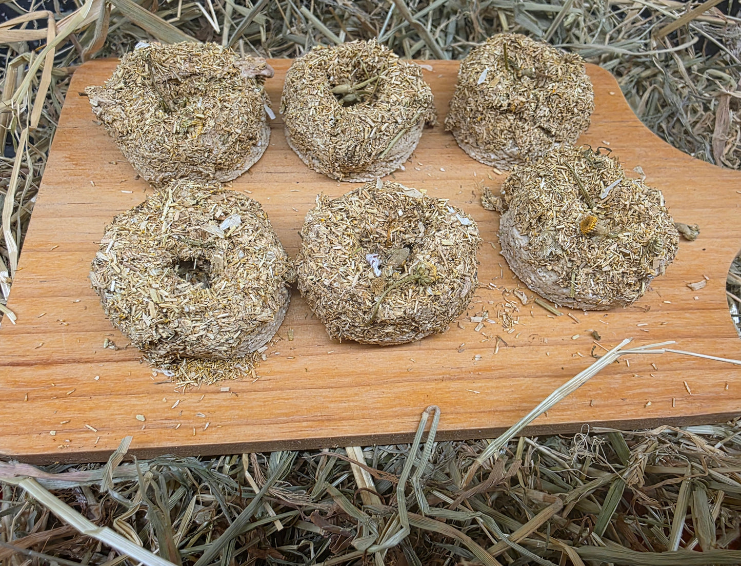 Bunny Bagels