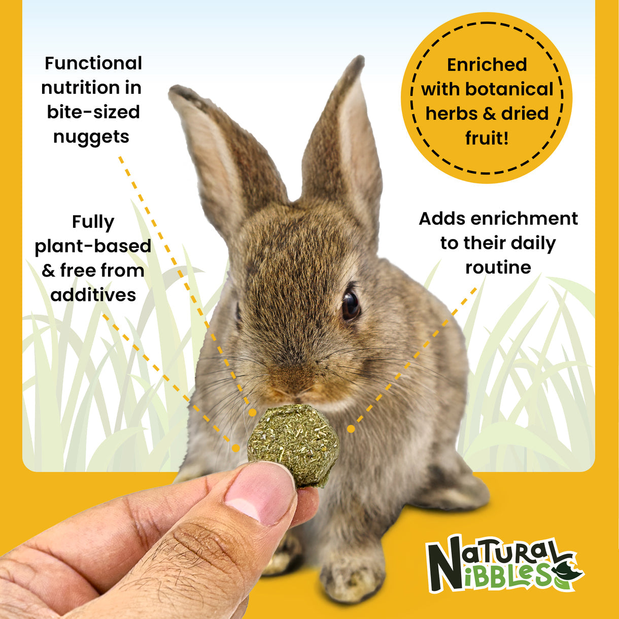 Natural Nibbles ProCare+ Urinary