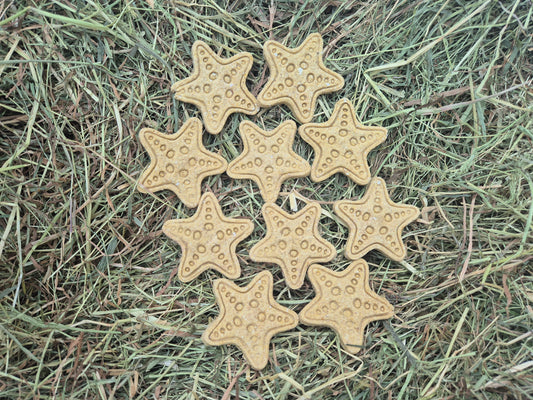Starfish