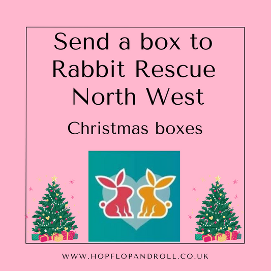 Christmas box for Rabbit Rescue North West