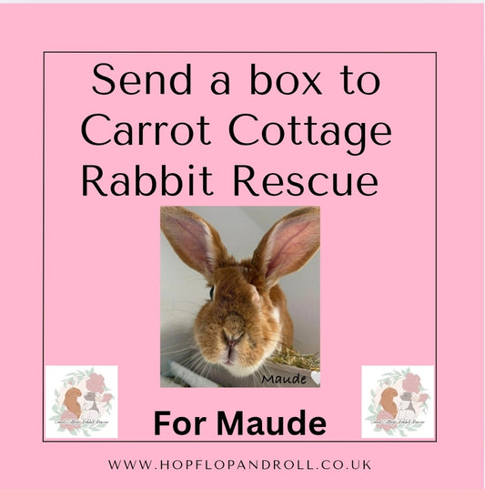 Mystery box for Carrot Cottage Rabbit Rescue