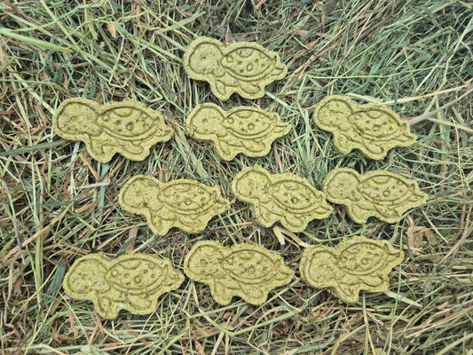 Turtles