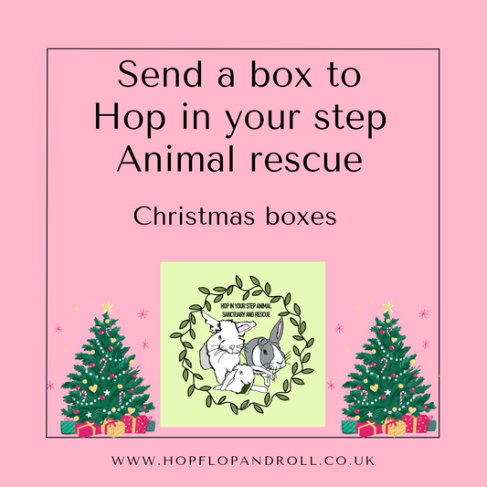 Christmas box for Hop in your step animal rescue