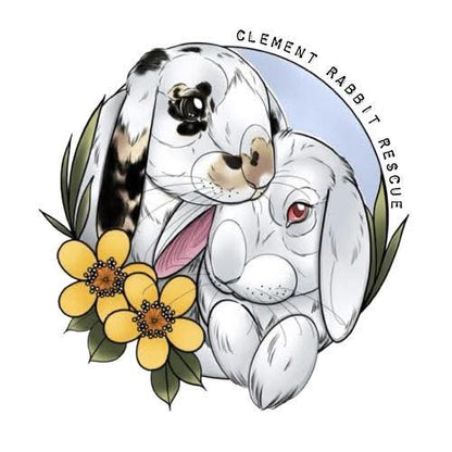 Mystery box for Clement Rabbit Rescue