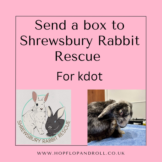 Mystery box for Shrewsbury Rabbit Rescue