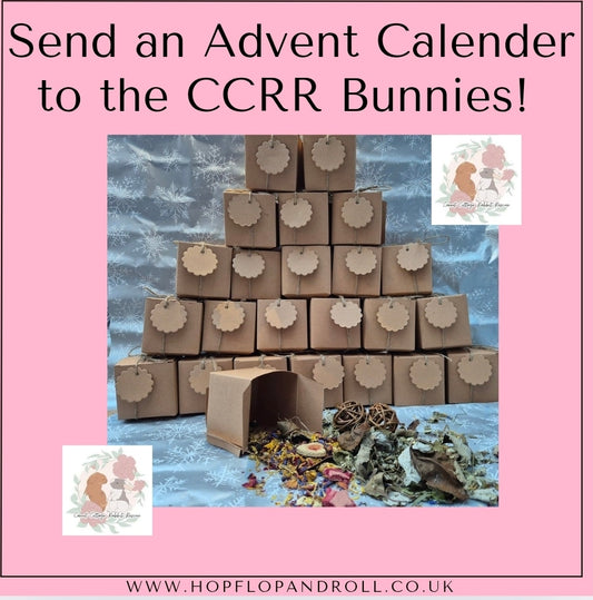Advent Calenders for Carrot cottage rabbit rescue