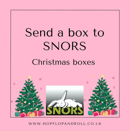 Christmas box for SNORS